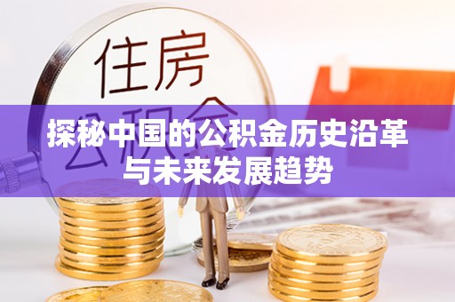 古坑探秘中国的公积金历史沿革与未来发展趋势