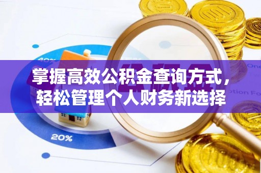 古坑掌握高效公积金查询方式，轻松管理个人财务新选择