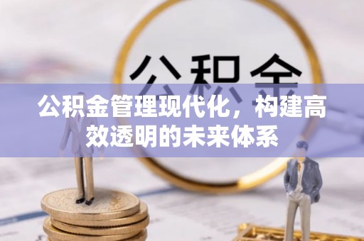 古坑公积金管理现代化，构建高效透明的未来体系