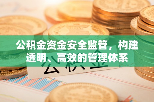 古坑公积金资金安全监管，构建透明、高效的管理体系