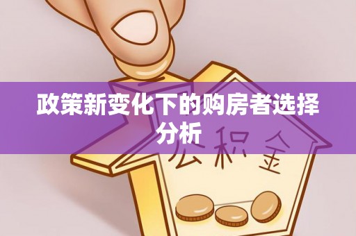 古坑政策新变化下的购房者选择分析