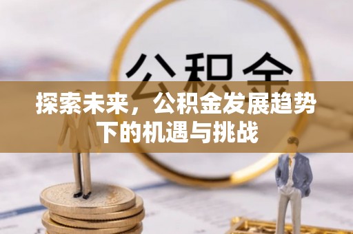 古坑探索未来，公积金发展趋势下的机遇与挑战