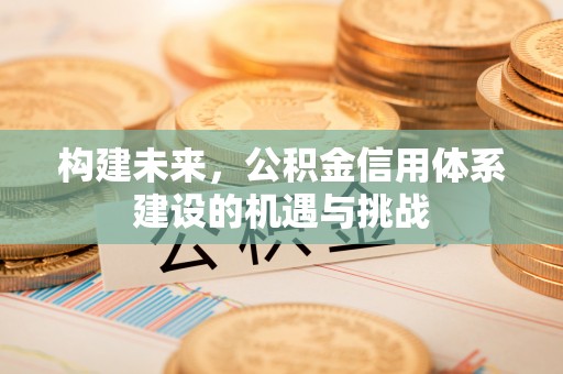 古坑构建未来，公积金信用体系建设的机遇与挑战