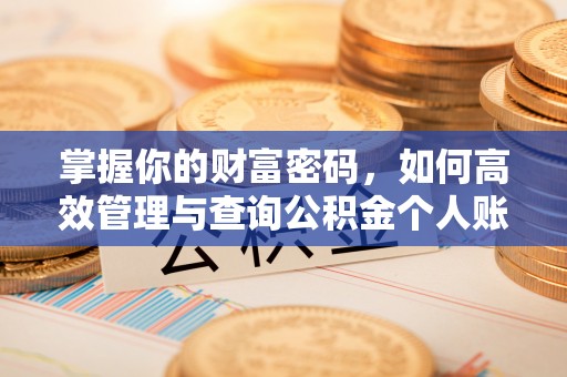 古坑掌握你的财富密码，如何高效管理与查询公积金个人账户信息