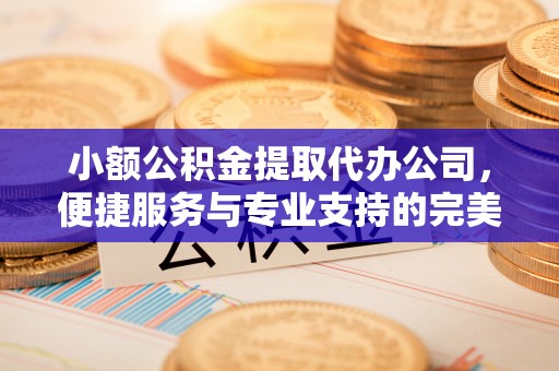 古坑小额公积金提取代办公司，便捷服务与专业支持的完美结合