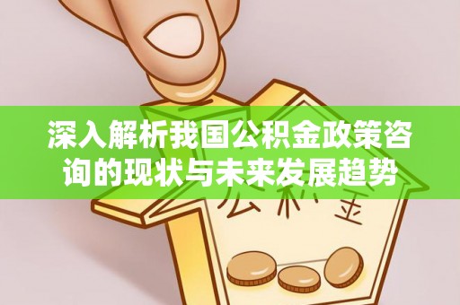 古坑深入解析我国公积金政策咨询的现状与未来发展趋势