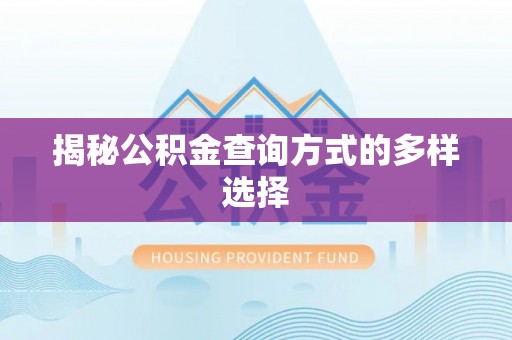 古坑揭秘公积金查询方式的多样选择