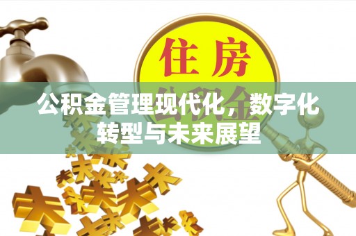 古坑公积金管理现代化，数字化转型与未来展望