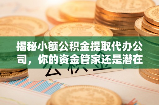 古坑揭秘小额公积金提取代办公司，你的资金管家还是潜在风险？