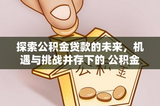 古坑探索公积金贷款的未来，机遇与挑战并存下的 公积金贷款风险防控