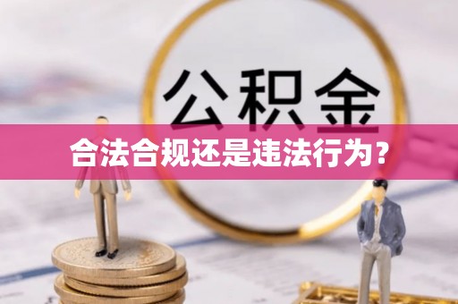 古坑合法合规还是违法行为？