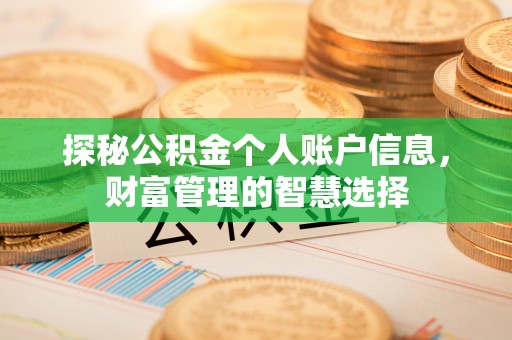 古坑探秘公积金个人账户信息，财富管理的智慧选择