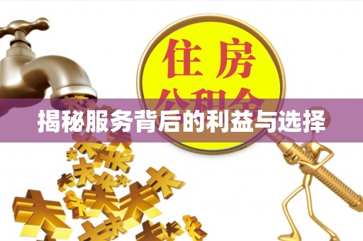 古坑揭秘服务背后的利益与选择