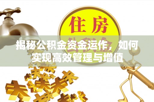古坑揭秘公积金资金运作，如何实现高效管理与增值