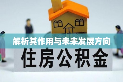 古坑解析其作用与未来发展方向
