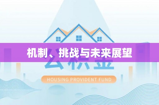 古坑机制、挑战与未来展望