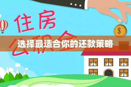 古坑选择最适合你的还款策略